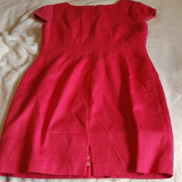 Alex Marie Pink Textured Dress - Picture 4 of 5